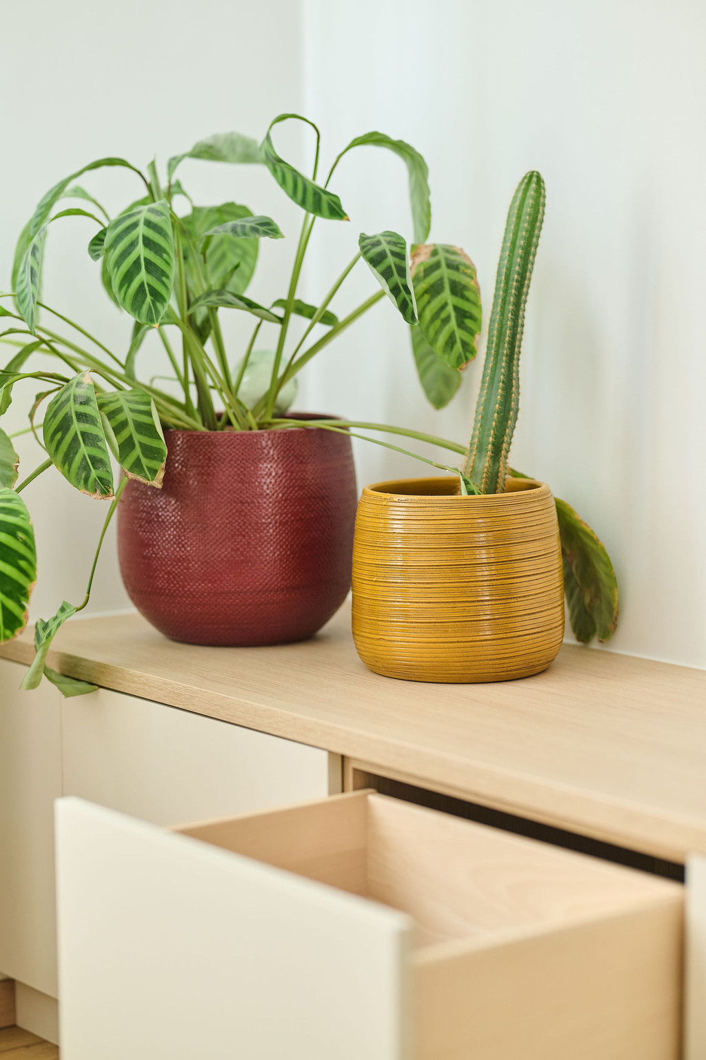 Deux pots de fleurs avec plantes d’intérieur posés sur un meuble clair sur mesure