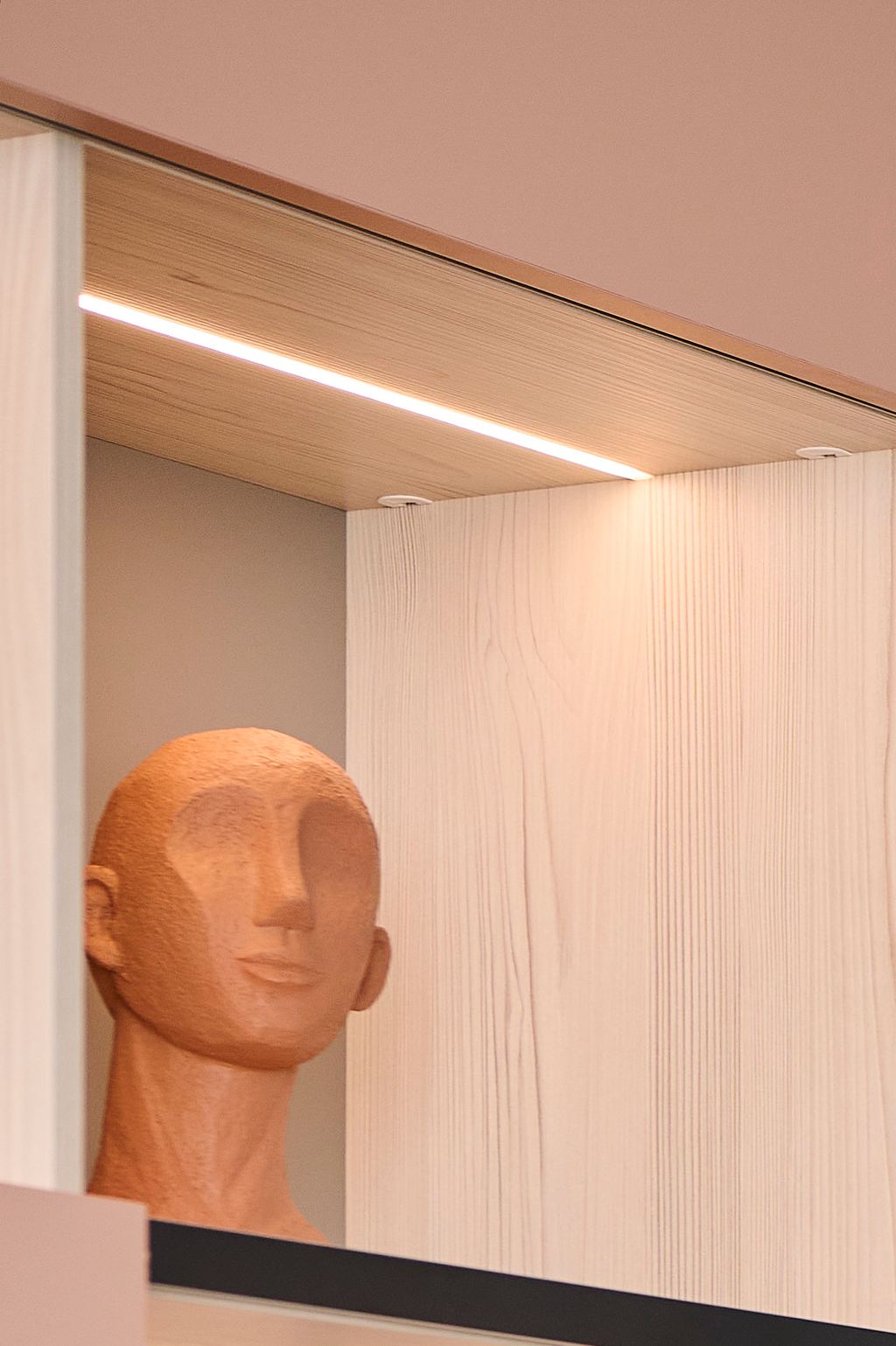Niche ouverte pour décoration dans le meuble salon