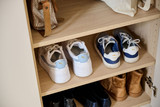 Placard à chaussures simple pour penderie