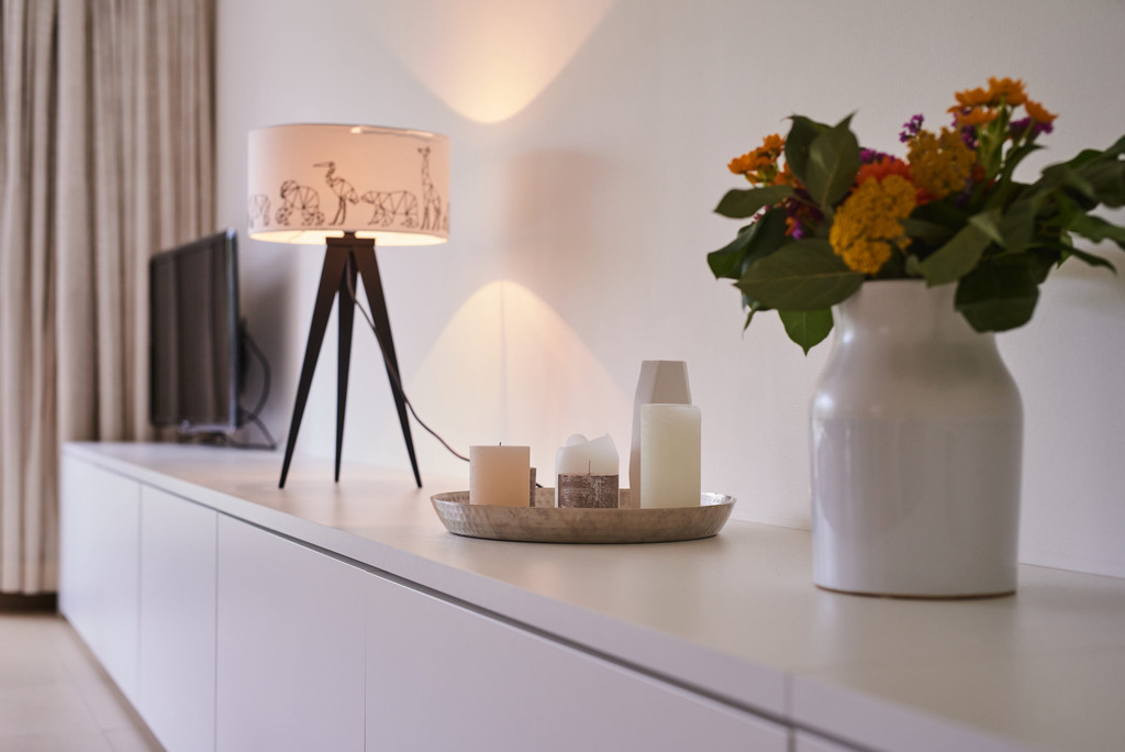 meuble salon details